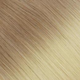 #R8C/60-Almond Glow
