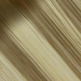 #B3N/8C/60C Walnut Cookie