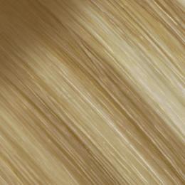#B6N/12/60N Cinnamon Roll