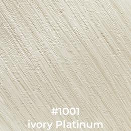 #1001 Ivory Platinum