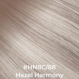 #HN8C/88 Hazel Harmony