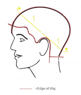 How to Make Template for Toupee and Wig