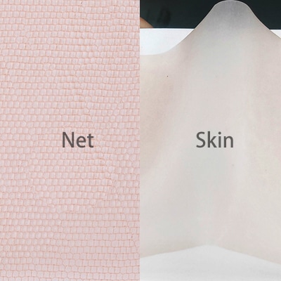 Differences between Net Bases and Skin Bases