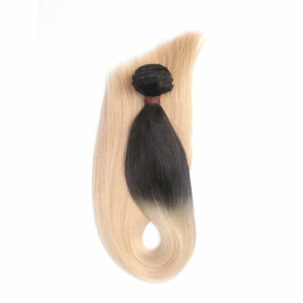 NTX082-Wefts-Hair-Extensions-24-inch-Ombre-Color-1B-22-60-2