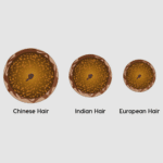 Comparison of European Hair, Indian Hair, and Chinese Hair