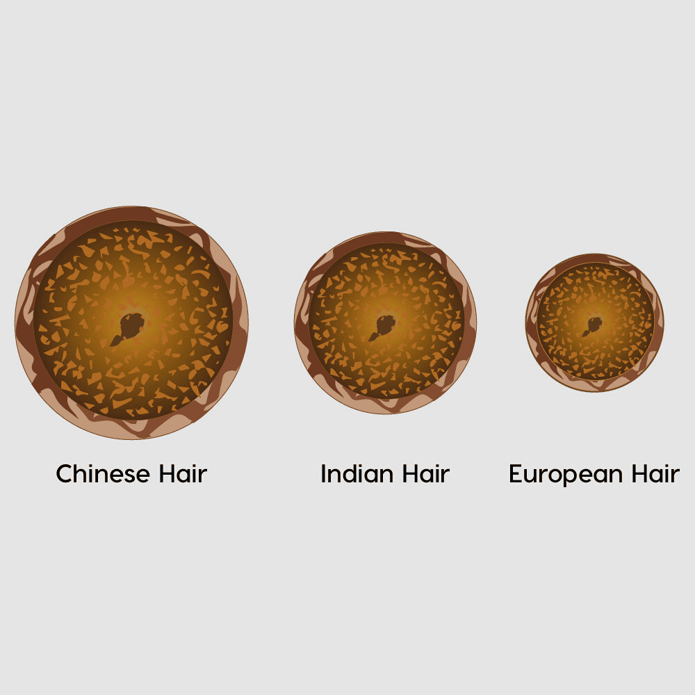 European Hair vs. Indian Hair vs. Chinese Hair: Differences
