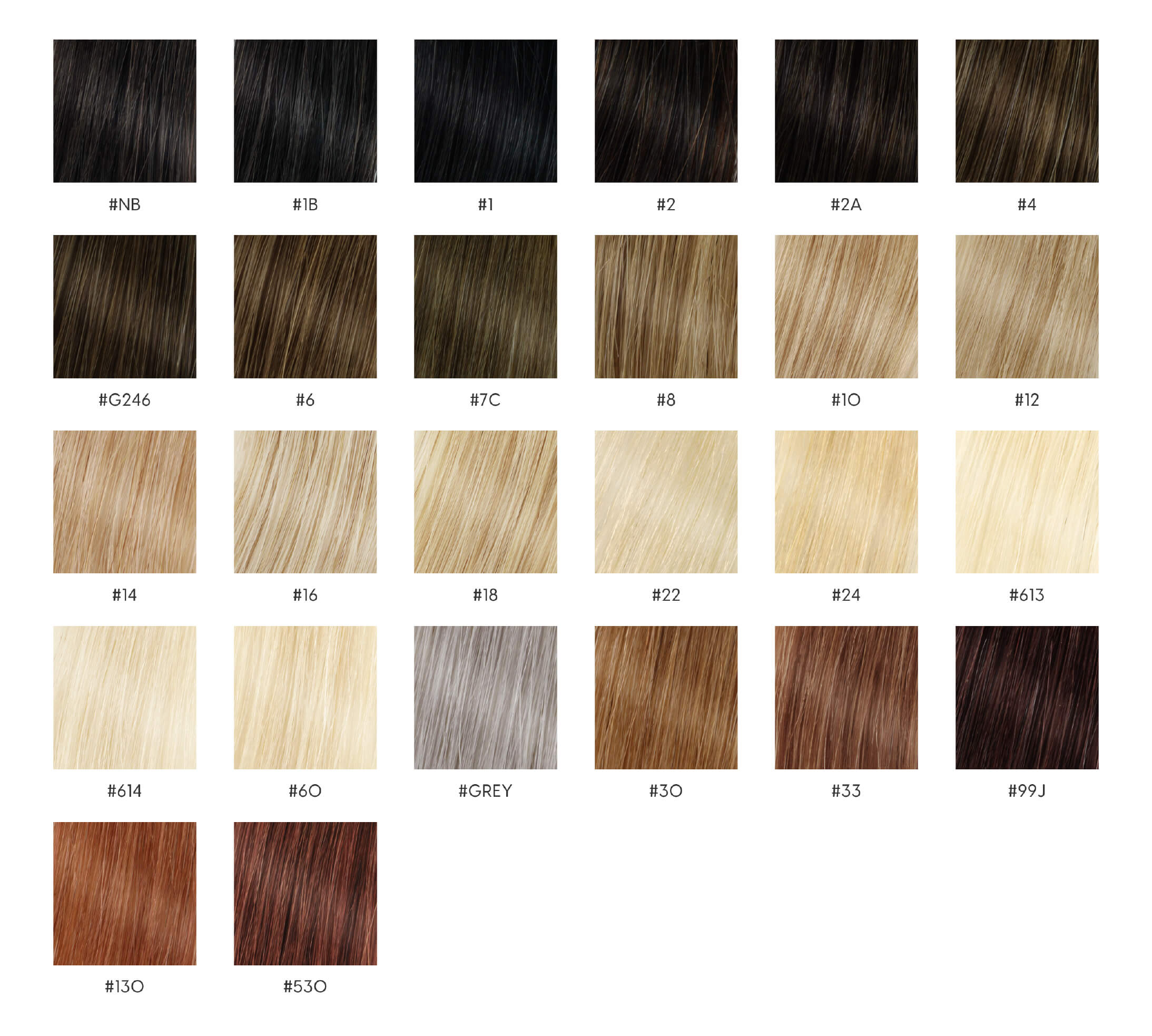 Tableau des couleurs des cheveux humains NT pour femmes
