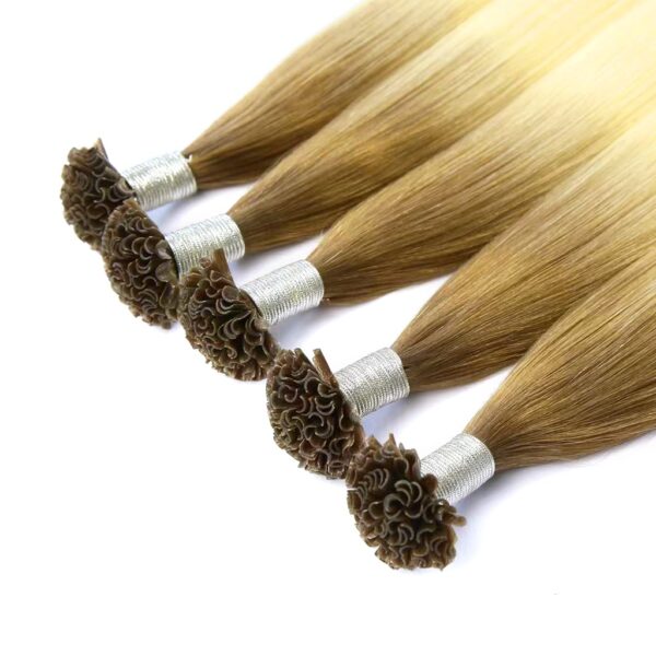 new-times-hair-wholesale-light-brown-to-blonde-ombre-U-Tip-Hair-Extensions-2