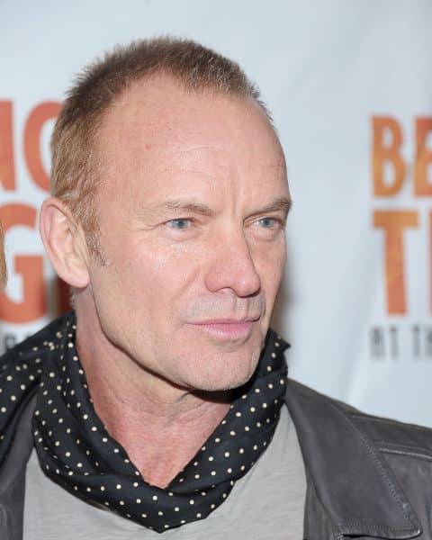Famous-Bald-People-Sting