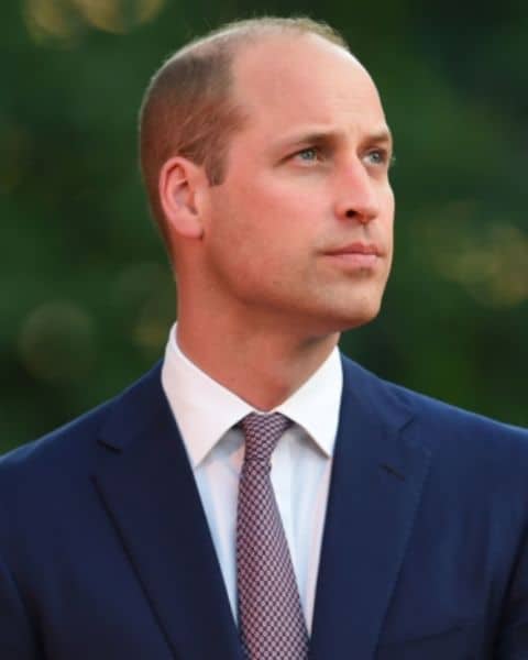 Prince-William-Balding-Celebrities