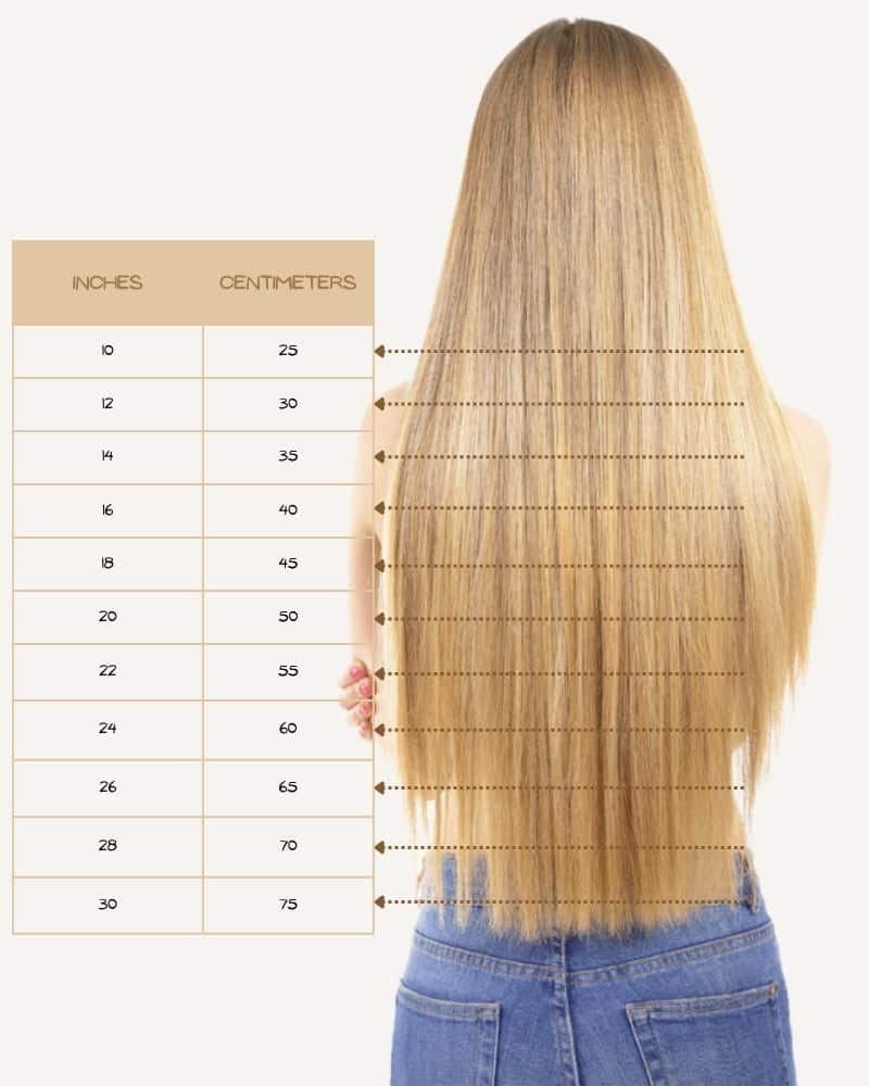 hair-length-chart-2-1